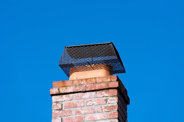 Chimney with protective animal guard