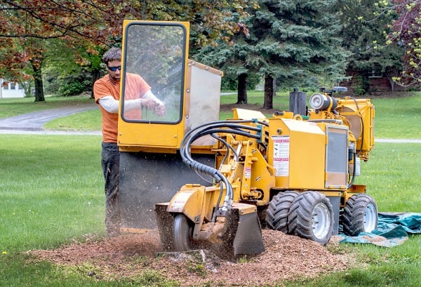 Professional grinding tree stump