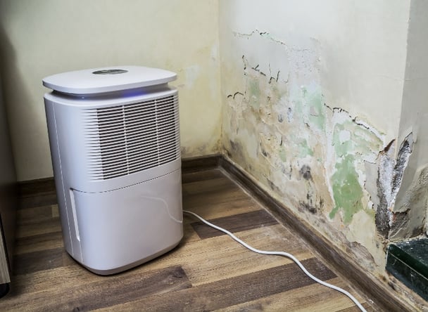 Purifier next to a damaged wall from severe mold and toxic fungus growth. Air dehumidifier for water infiltration, moisture and high humidity.