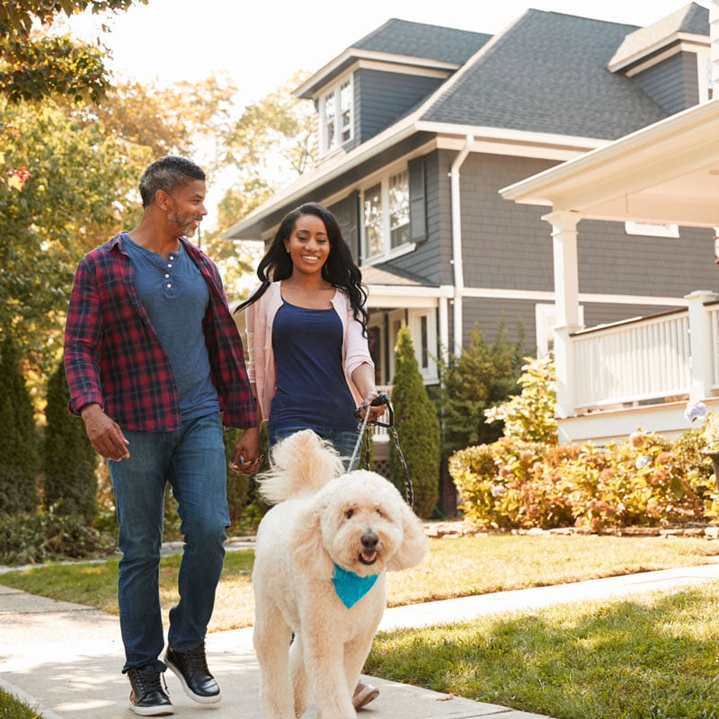 couple walking dog