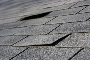 damaged shingles on roof