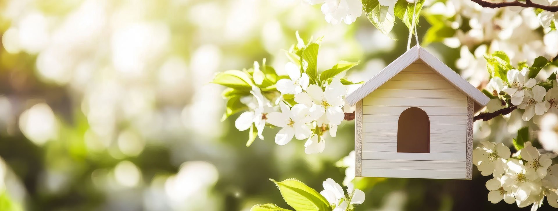 spring blooms and birdhouse